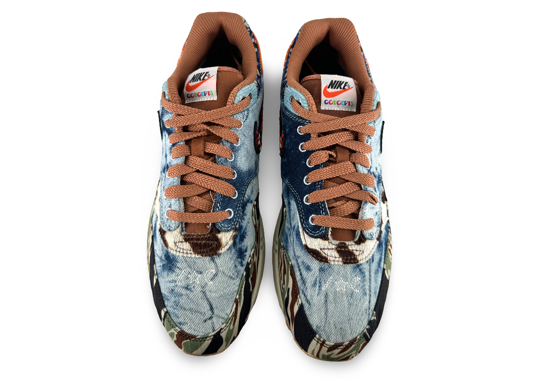 Nike Air Max 1 SP Concepts Heavy