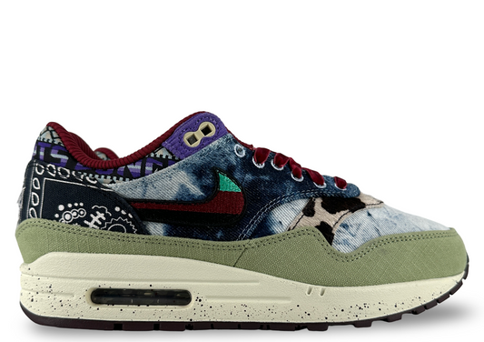Nike Air Max 1 SP Concepts Mellow