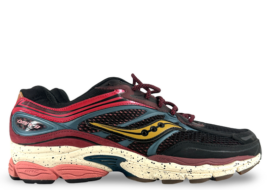 Saucony ProGrid Omni 9 Autumnal Equinox