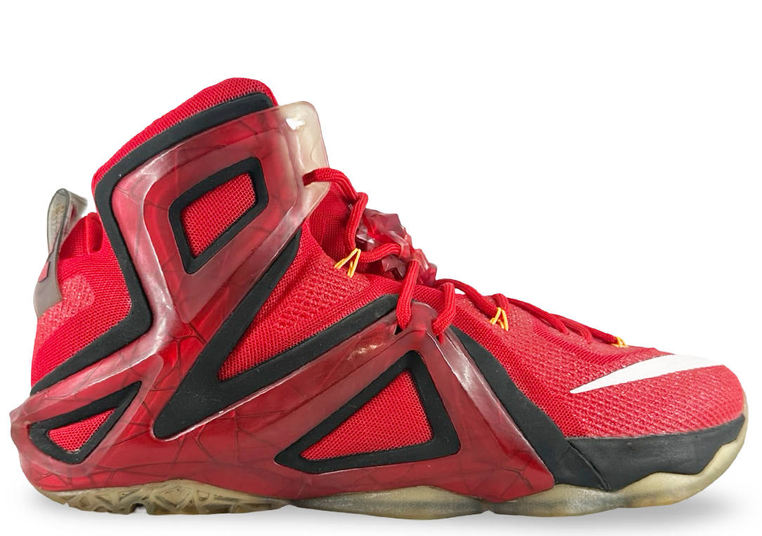 Nike LeBron 12 Elite Team