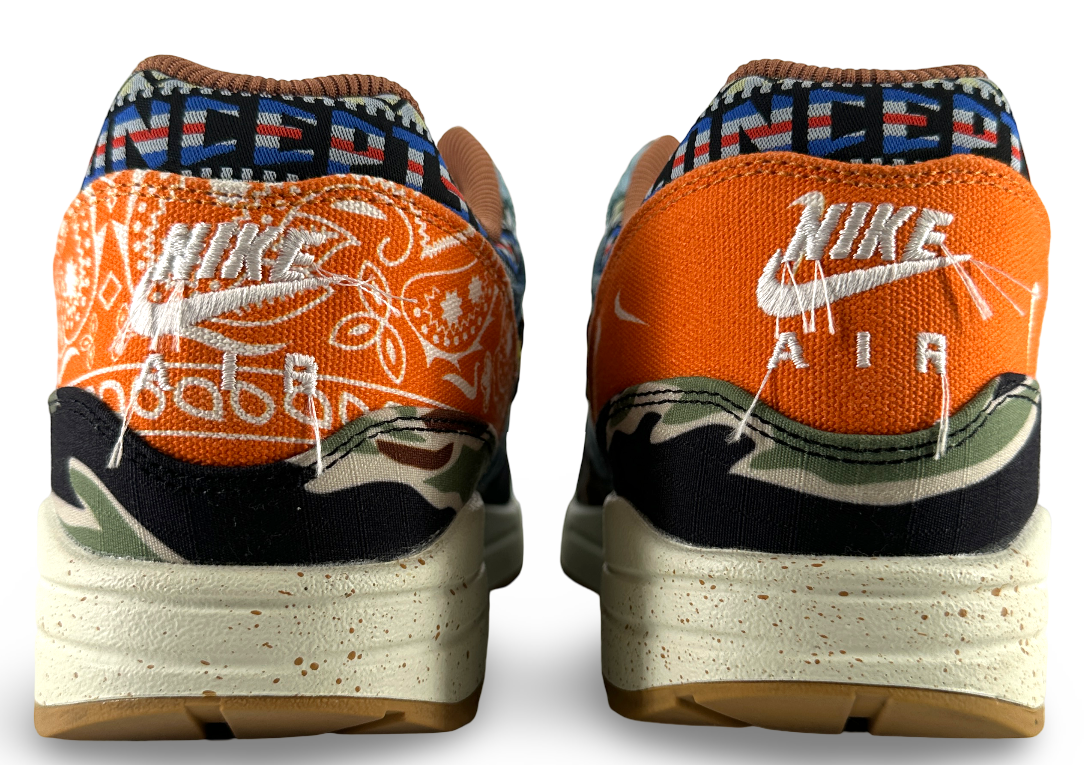 Nike Air Max 1 SP Concepts Heavy