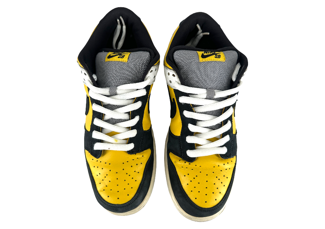 Nike SB Dunk Low Bic