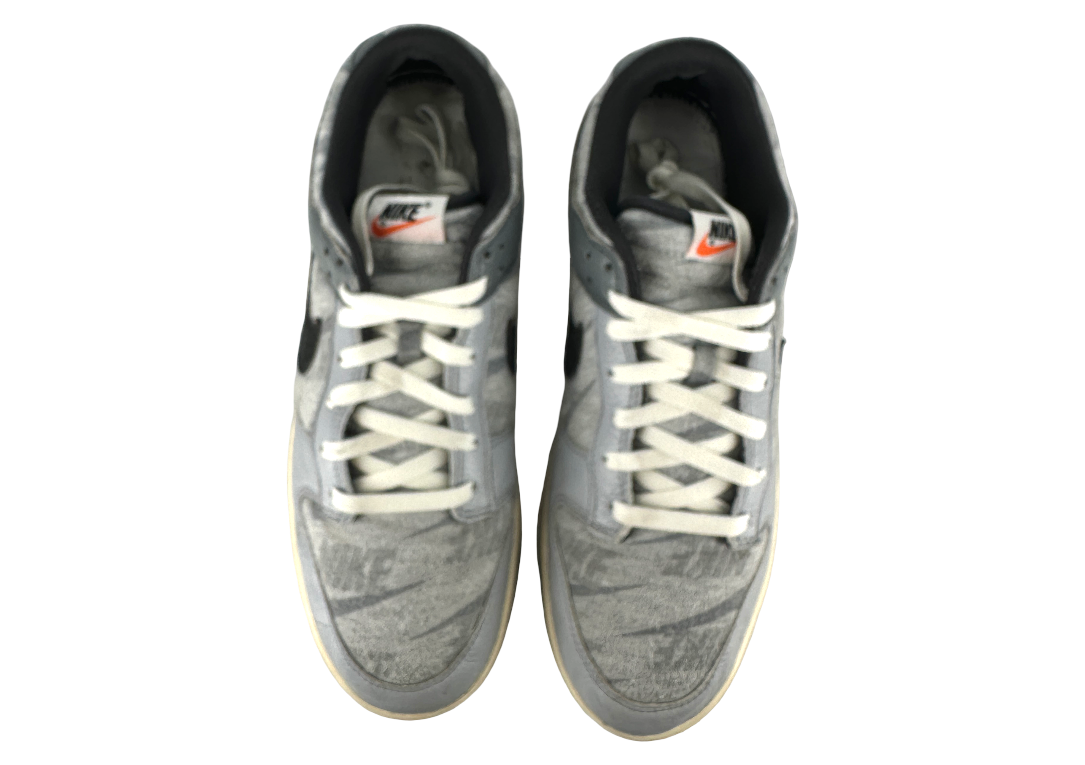 Nike Dunk Low SE Copy Paste
