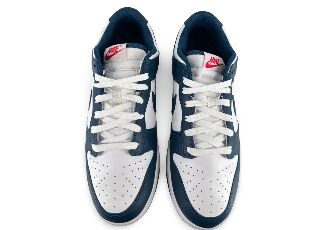 Nike Dunk Low Valerian Blue