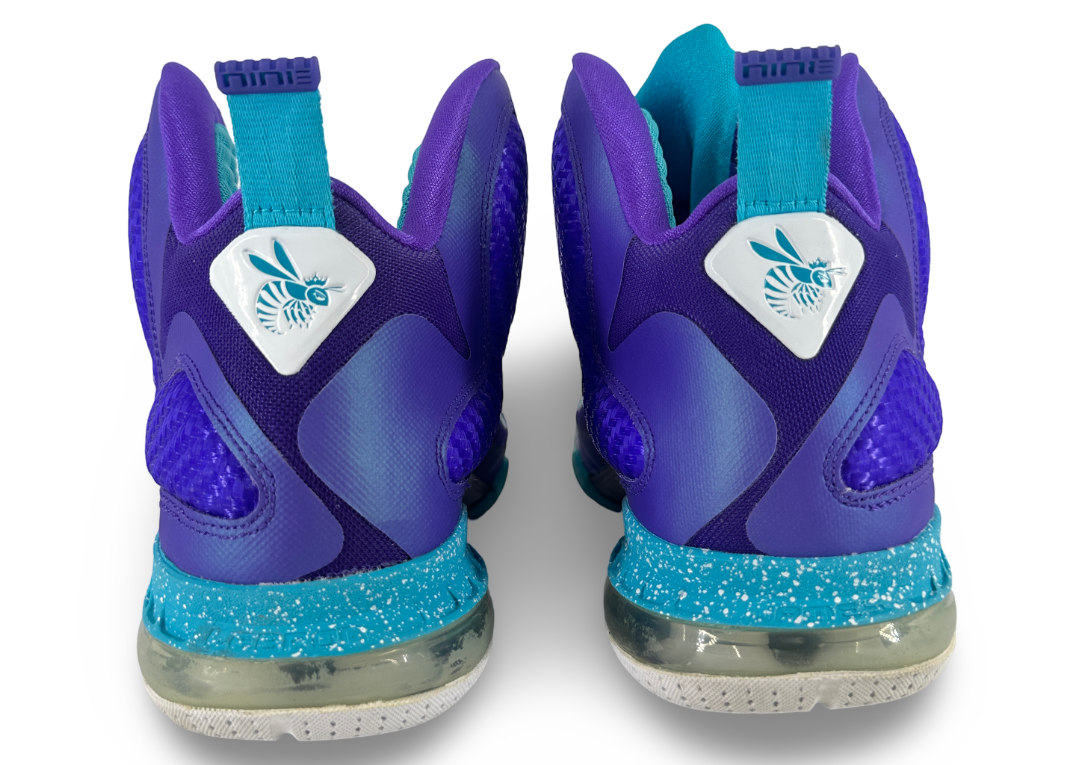Nike LeBron 9 Summit Lake Hornets