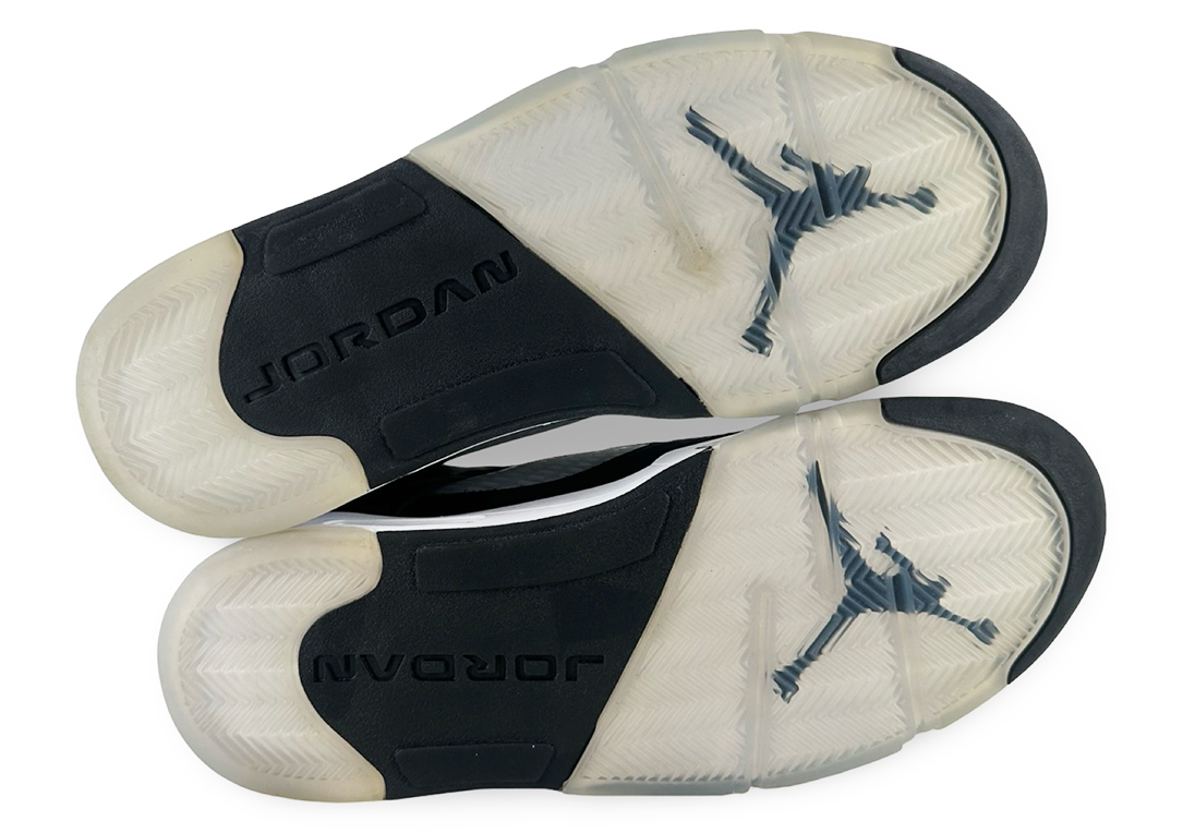 Jordan 5 Retro Moonlight (2021)