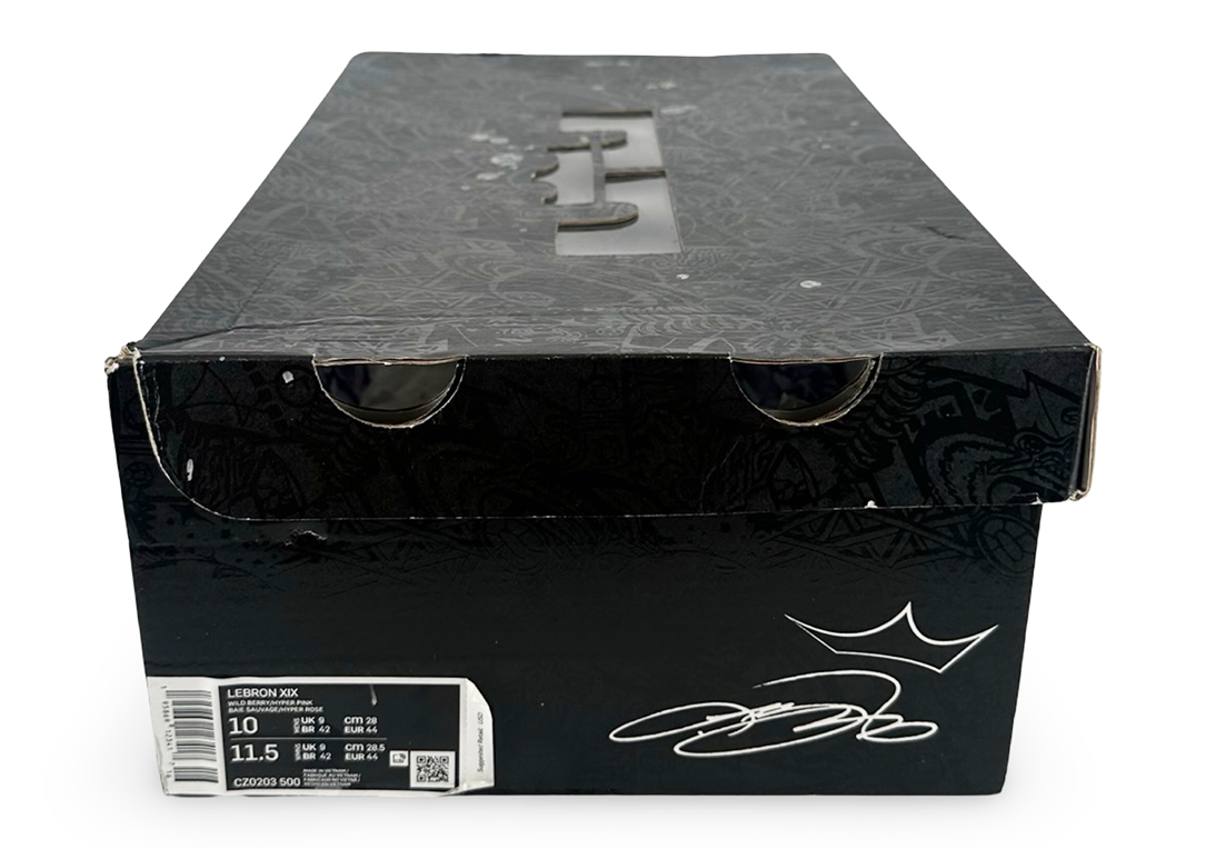 Nike LeBron 19 DJ Bron
