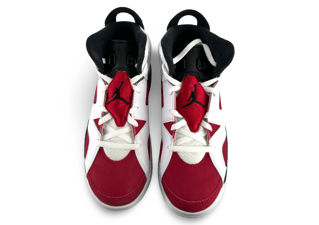 Jordan 6 Retro Carmine (2014) (PS)