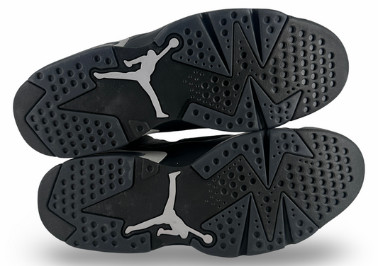 Jordan 6 Retro Cap and Gown
