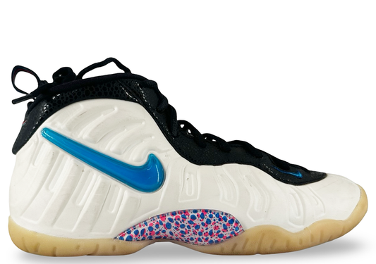 Nike Air Foamposite Pro 3D(GS)