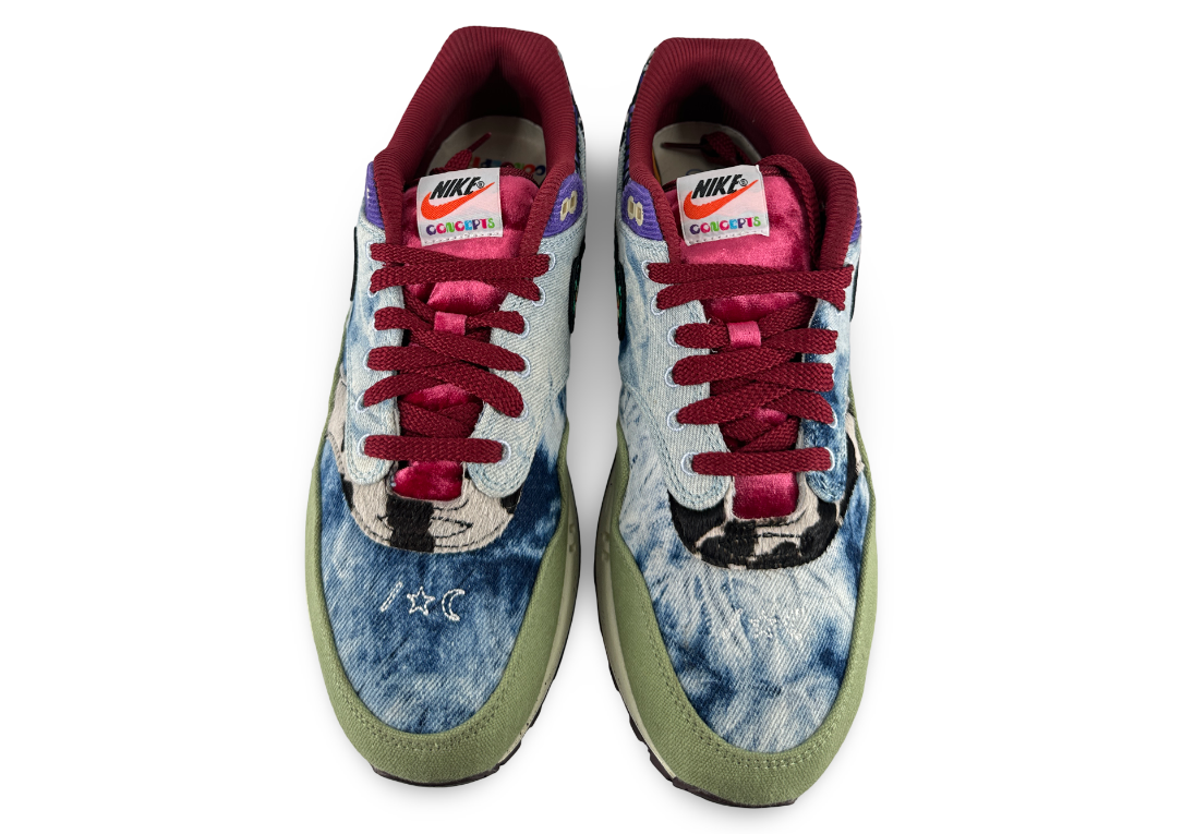 Nike Air Max 1 SP Concepts Mellow
