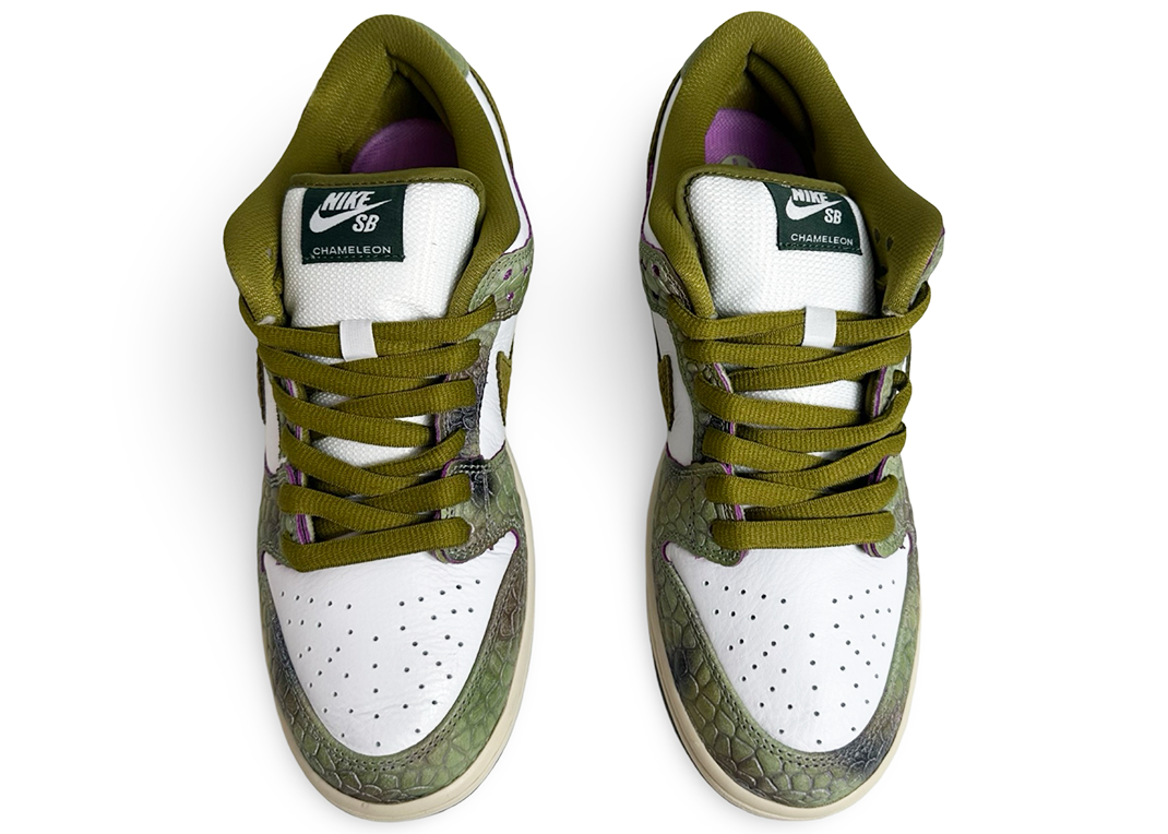 Nike SB Dunk Low & Converse CONS AS-1 Pro