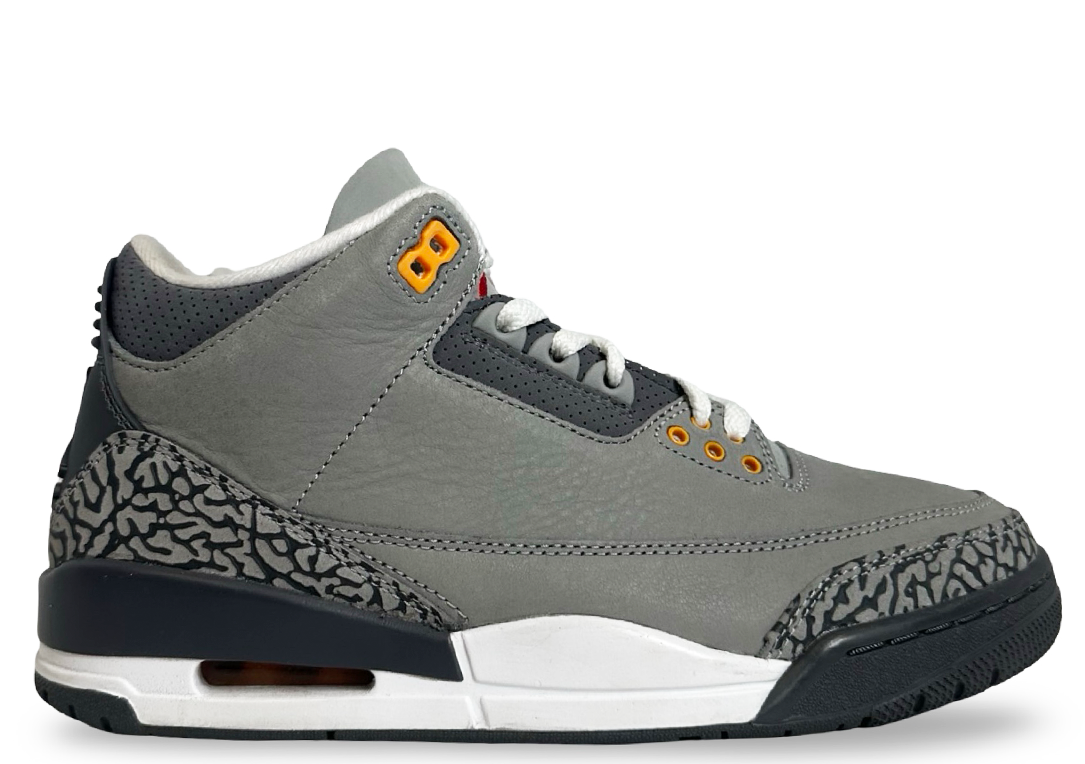 Jordan 3 Retro Cool Grey (2021)