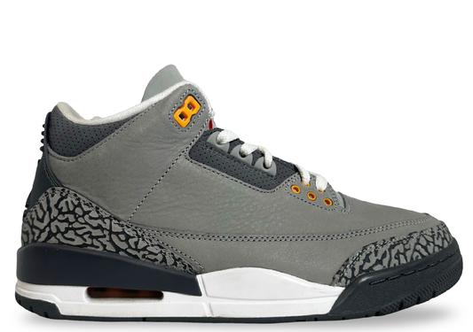 Jordan 3 Retro Cool Grey (2021)