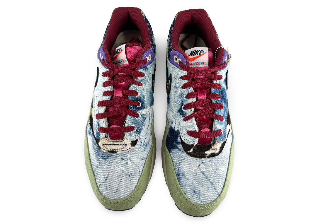 Nike Air Max 1 SP Concepts Mellow