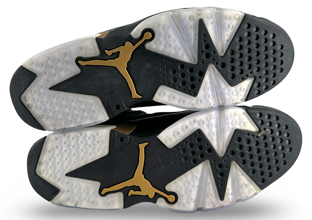 Jordan 6 Retro DMP (2020)