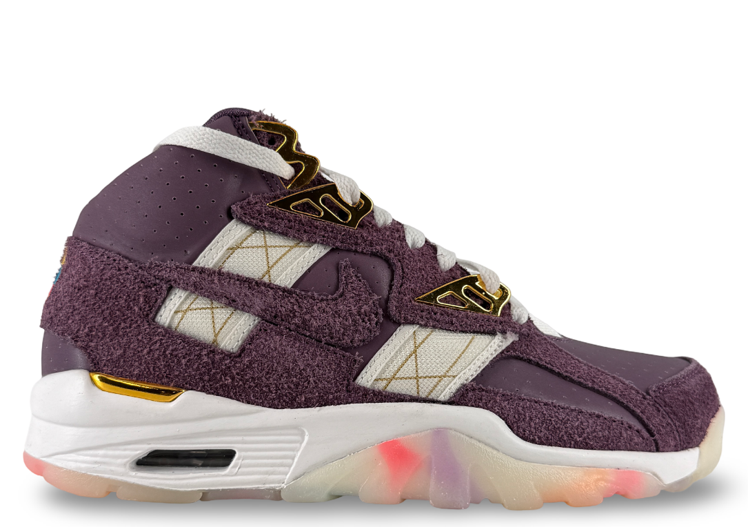 Nike Air Trainer SC High Atlanta Olympics 30th Anniversary