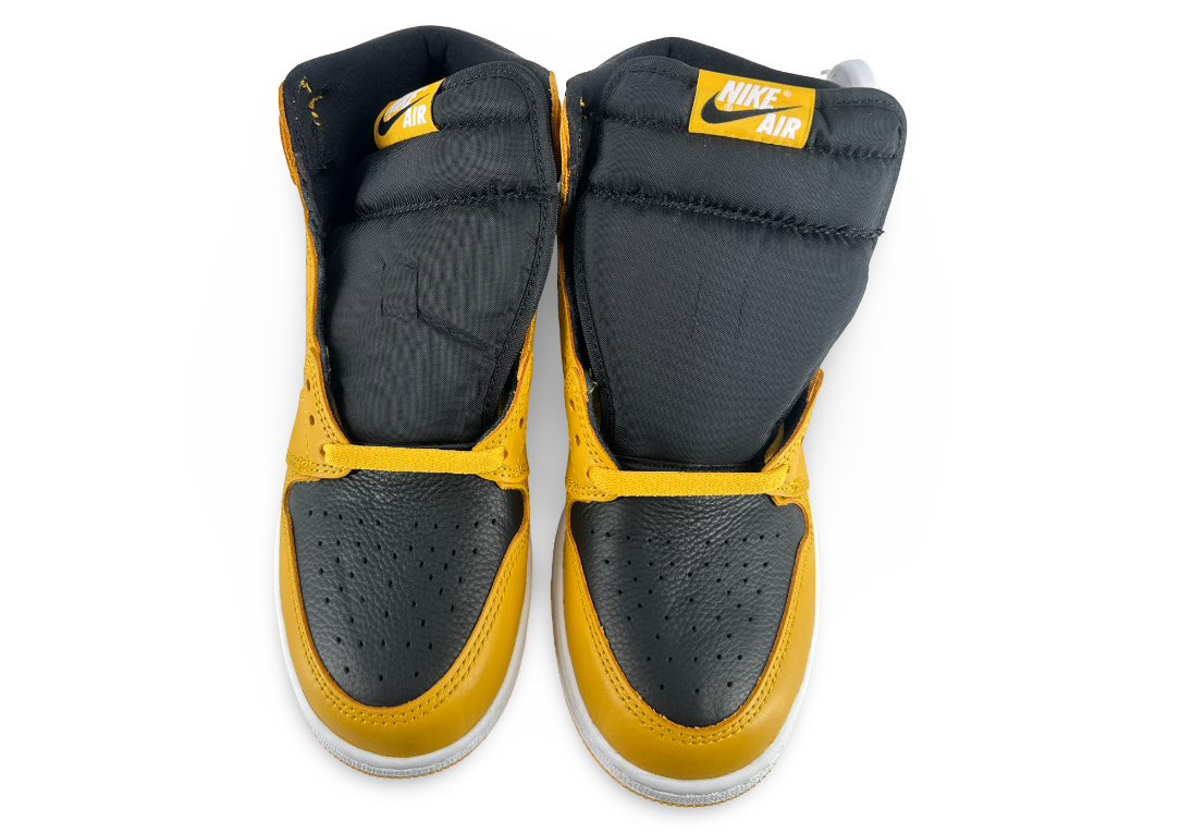 Jordan 1 Retro High OG Pollen (GS)
