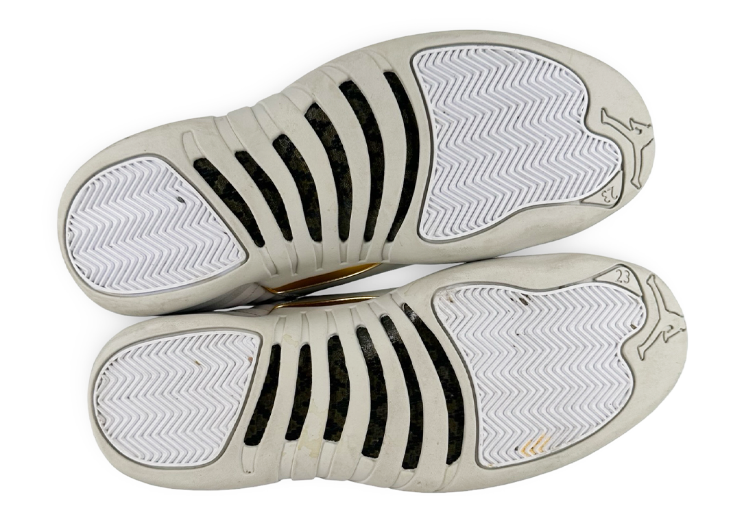 Jordan 12 Retro Phantom (Women's)