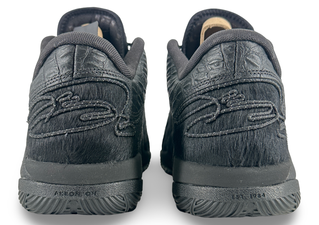 Nike LeBron 22 Black Label