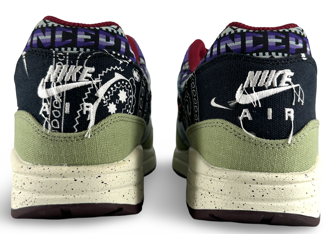 Nike Air Max 1 SP Concepts Mellow