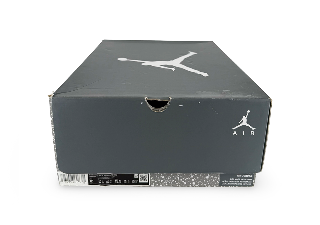 Jordan 6 Retro Cool Grey (2023)