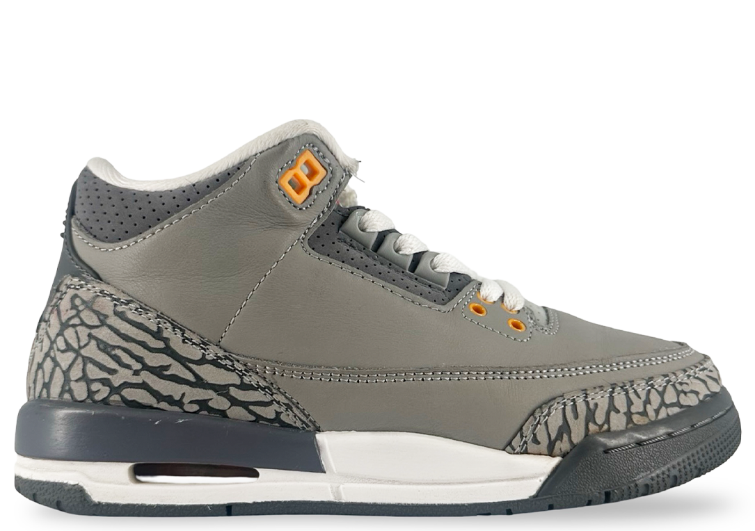 Jordan 3 Retro Cool Grey (2021) (GS)