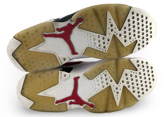 Jordan 6 Retro Carmine (2021)