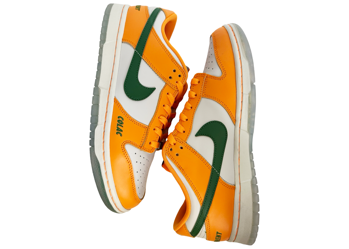 Nike Dunk Low FAMU