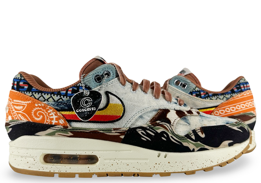 Nike Air Max 1 SP Concepts Heavy