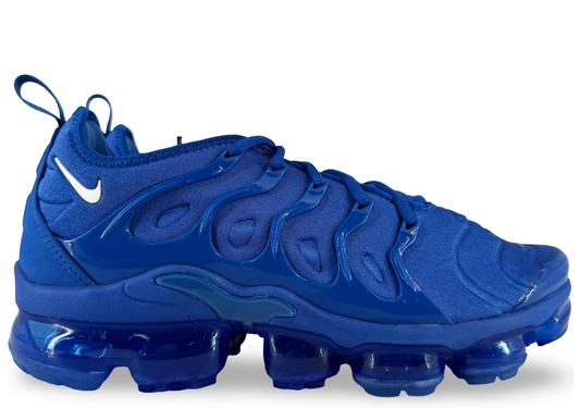 Nike Air VaporMax Plus Game Royal Metallic Silver