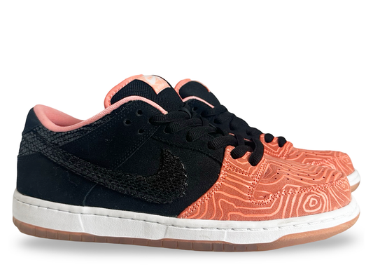 Nike SB Dunk Low Premier Fish Ladder