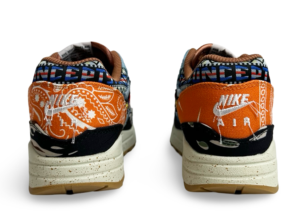 Nike Air Max 1 SP Concepts Heavy