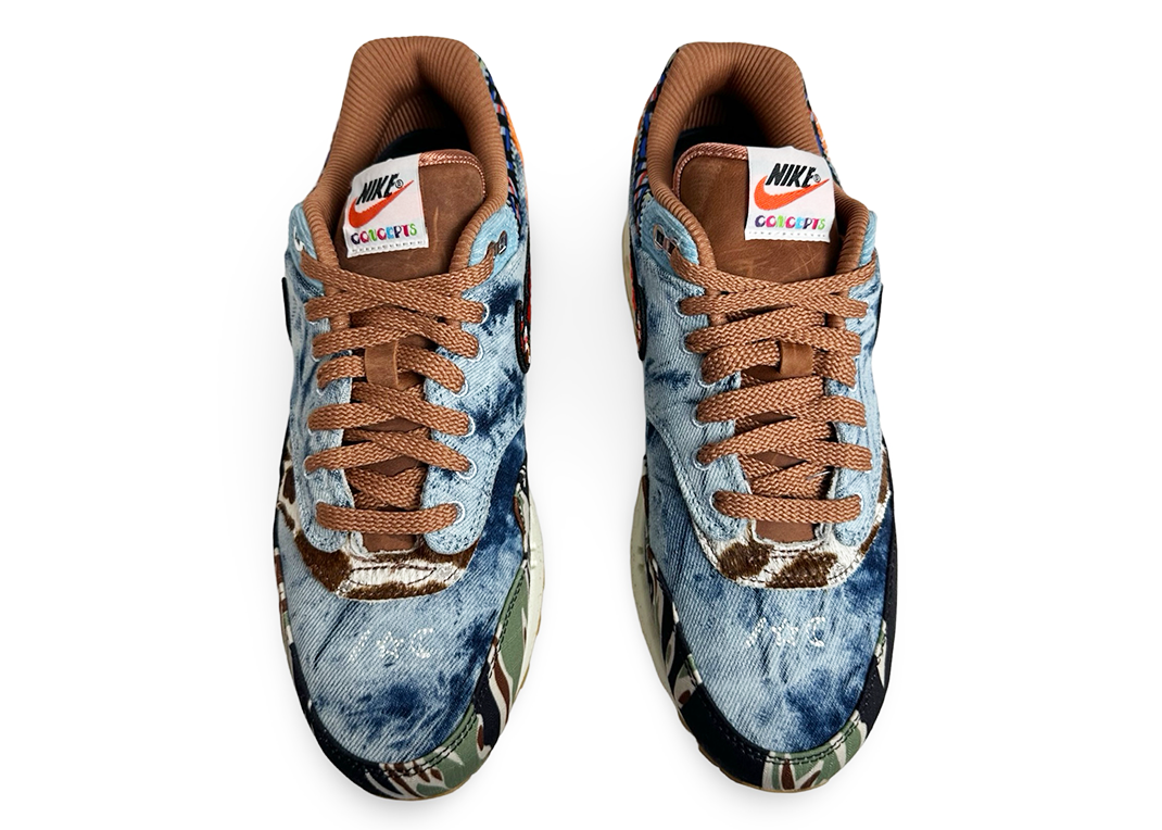 Nike Air Max 1 SP Concepts Heavy