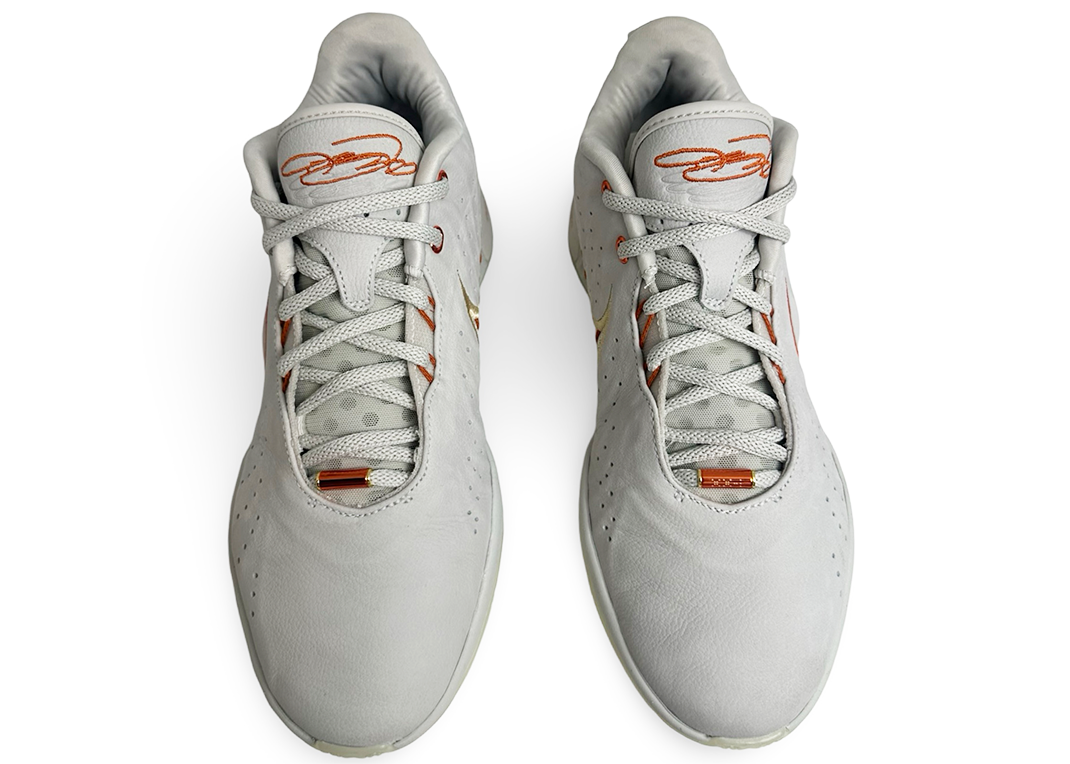 Nike LeBron 21 Akoya