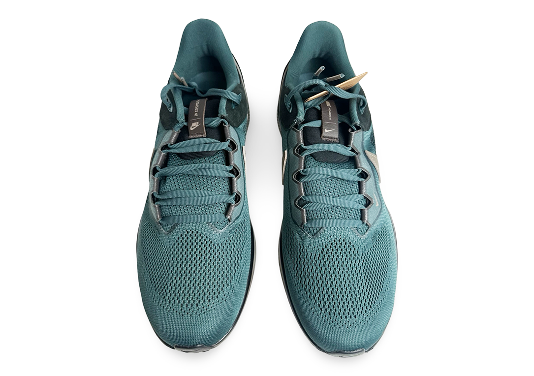 Nike Air Zoom Pegasus 41 SP Faded Spruce