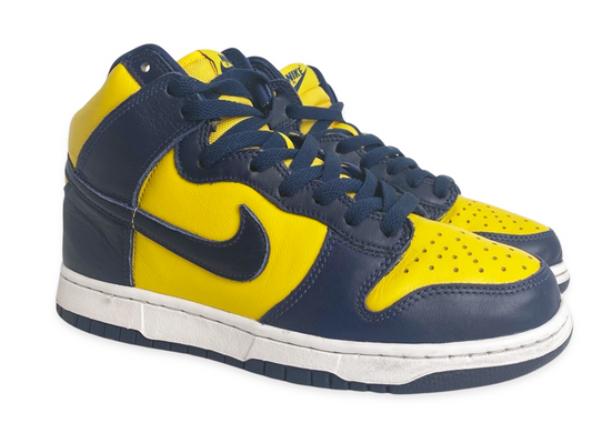 Nike Dunk High Michigan (2020)