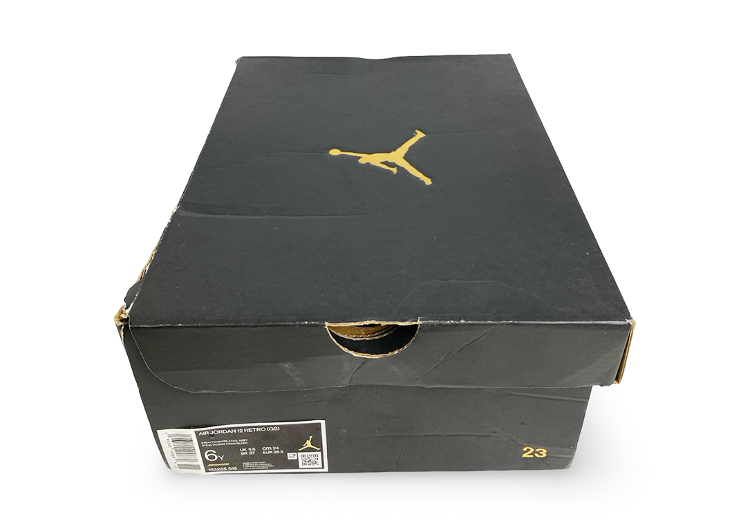 Jordan 12 Retro Stealth (GS)