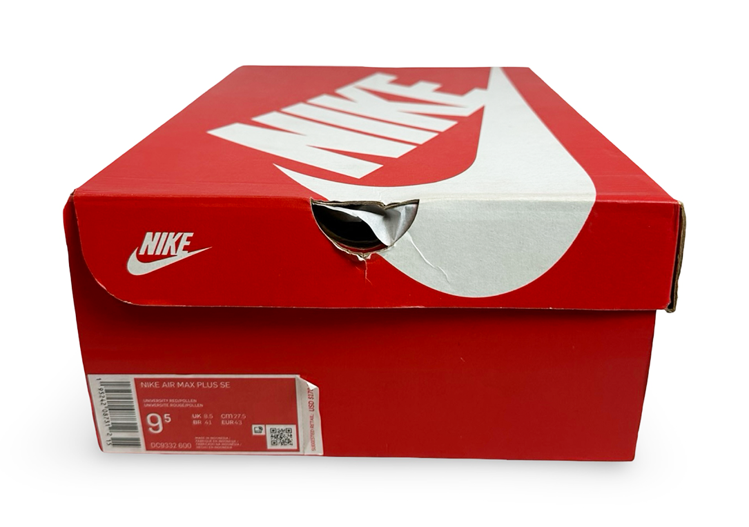 Nike Air Max Plus SE Air Max Running Club University Blue